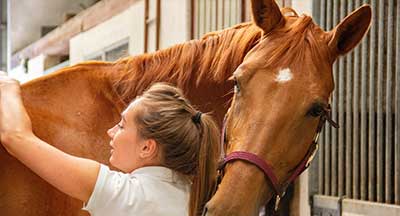 Pets to Schools Insurance